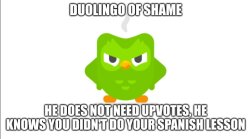 Duolingo of shame Meme Template