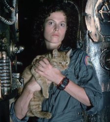 Ripley and Jonesy Meme Template