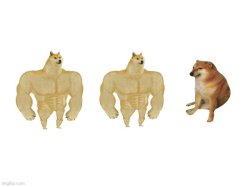 Buff Doge vs. Buff Doge vs. Cheems Meme Template