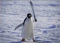 Penguin with knife Meme Template