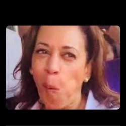 Kamala-polls Meme Template