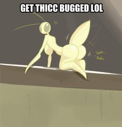 get thicc bugged lol Meme Template