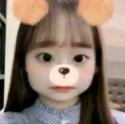 Bear chuu Meme Template