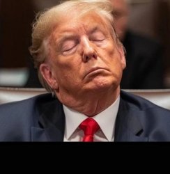 Trump Sleeping in Court Meme Template