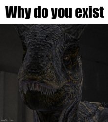 why do you exist Meme Template