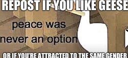 Repost if Meme Template