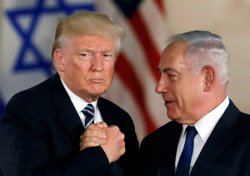 bebe don Meme Template