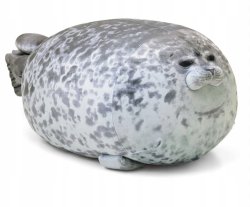 Stupid fat seal Meme Template