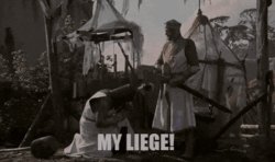 Monty Python My Liege Meme Template