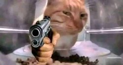 Cat with gun Meme Template