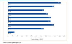 US suicide  rates by age - CDC Meme Template