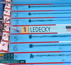 Ledecky can't lose Meme Template