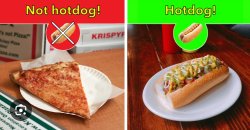 Not hotdog Meme Template