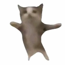 Happy dancing cat Meme Template