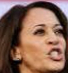 Kamala Harris Meme Template