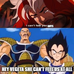 nappa and vegeta mocks women Meme Template