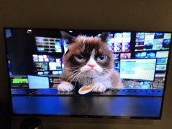 Grumpy cat in front of tv screens Meme Template