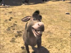 Donkey laughing Meme Template