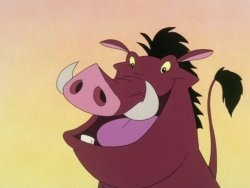 Pumbaa Meme Template