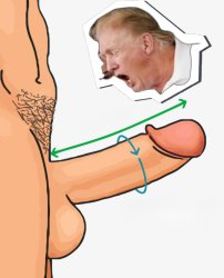 Trump Dick Meme Template