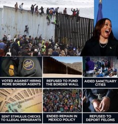 Kamala Harris Border Czar Meme Template