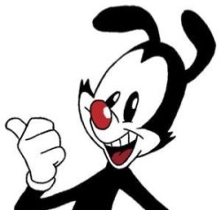 Yakko approves Meme Template