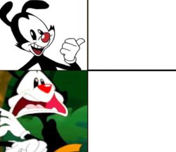 Yakko yes/no Meme Template