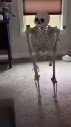 Skeleton Falling Over, Begging Frame Meme Template