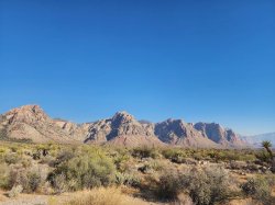 Mojave Desert Meme Template