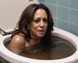 Kamala turd Meme Template