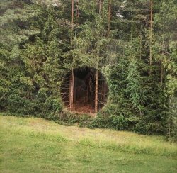 Hole In The Woods. Meme Template