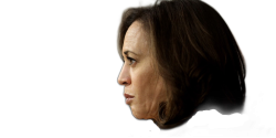 kamala head Meme Template