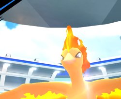 Moltres peaking at your window Meme Template