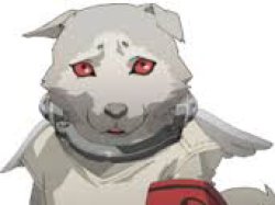 Koromaru sad Meme Template