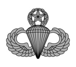 Master parachutist badge Meme Template