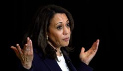 Kamala Harris what Meme Template