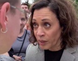 Kamala really Meme Template