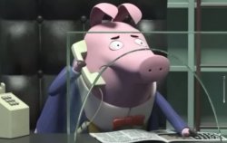 pig on phone Meme Template