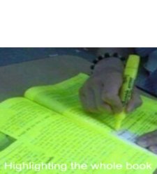 Highlighting the whole book Meme Template