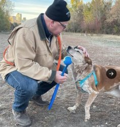 Tim walz dog Meme Template