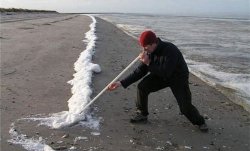 Hurricane Debby blows cocaine ashore in FL Meme Template