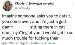 Catsitting Meme Template