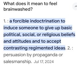 Brainwash definition Meme Template