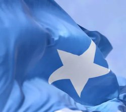 Somali flag Meme Template