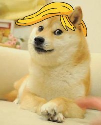 Dog Meme Template