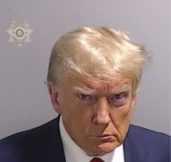 Trump mug shot Meme Template