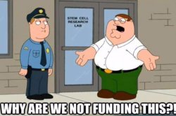 Peter Griffin Why are we not funding this?! Meme Template