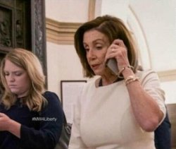 Pelosi Meme Template