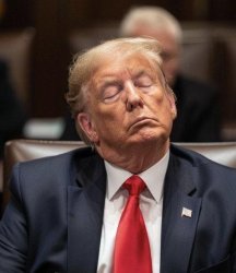 Trump sleeping Meme Template