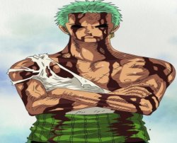 Bloody zoro Meme Template